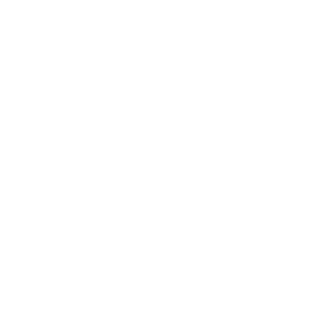 Document Icon
