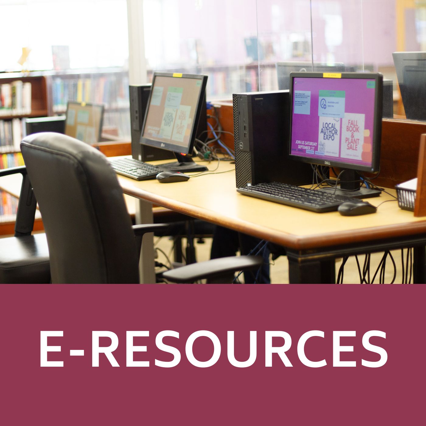 E Resources Icon that links to the Library website