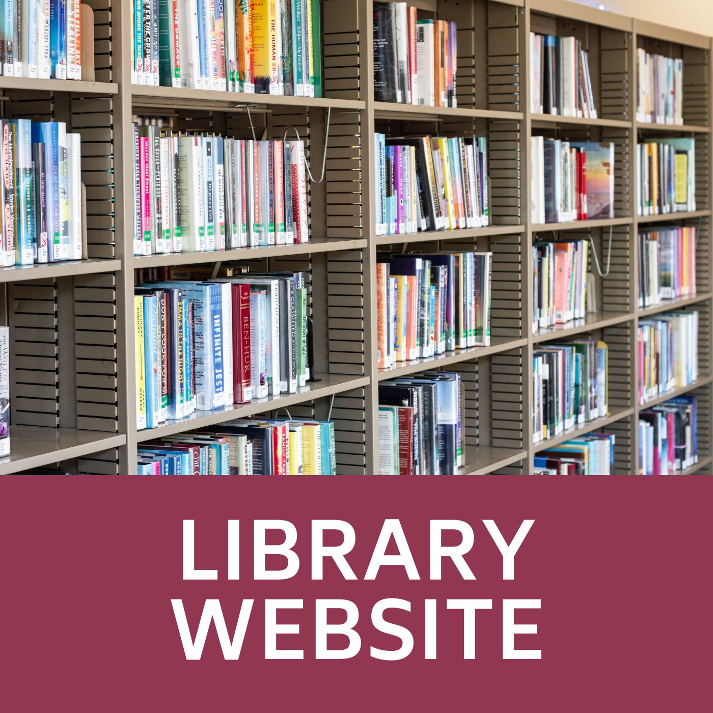 Image of Libary website that links to the Library website