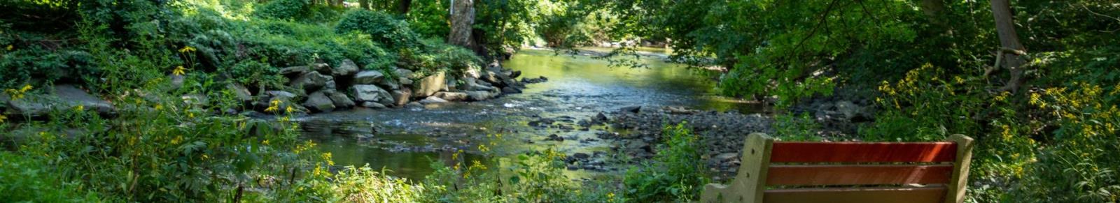 Lorimer park picture of creek