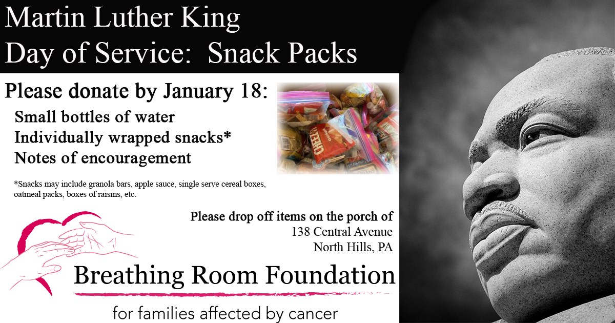 Breathing Room Foundation MLK Day of Service Information